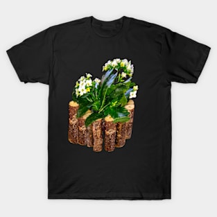 Flowering succulent aesthetic floral arrangement bouquet T-Shirt